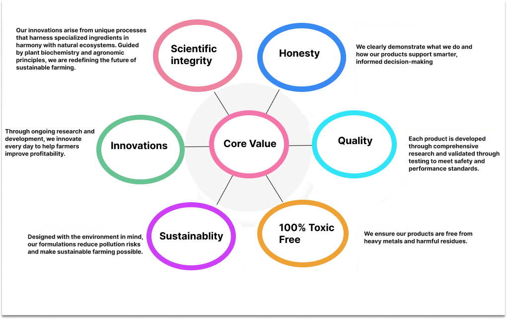 Core Values